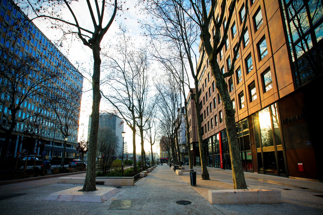 Rue Garibaldi Cityscape
